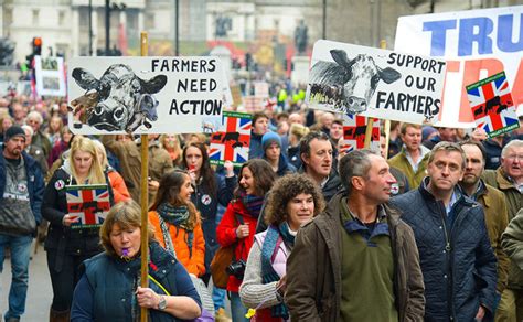 Farmers Target Supermarkets In Supply Chain Protests Farm News