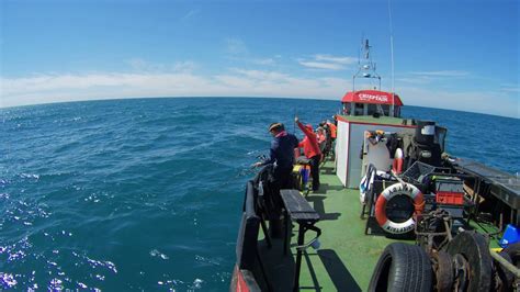 Whitby Cod Fishing On Chieftain Boat 8 Youtube