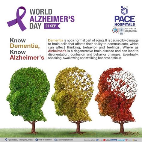 World Alzheimer S Day September Theme History Importance