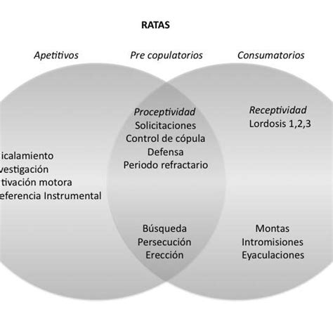 Clasificación del comportamiento sexual Modificado de Pfaus 1996