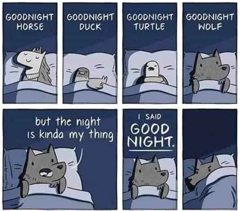 Goodnight Everyone Rwholesomememes Wholesome Memes Know Your Meme