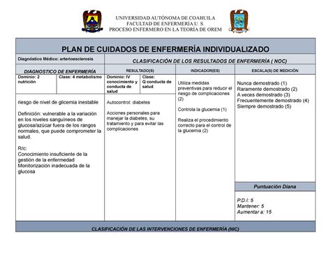 Plan De Cuidados De Enfermeria Arterioesclerosis Hematologia UAdeC