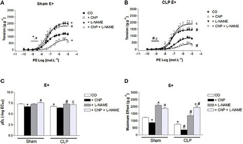 Cumulative Concentration Effect Curves To Phenylephrine Pe In The