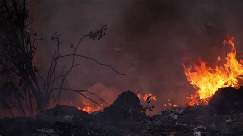 Close Up View Of Burning Plastic Waste Stock Footage SBV-346455710 ...