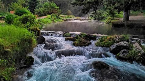 R Serve Cologique Pancho Poza Un Magnifique Paradis Veracruz