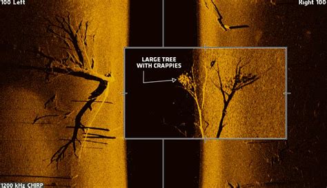 Side And Down Imaging Tips For Dirty Water Humminbird