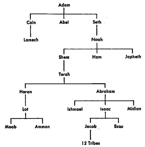 Bible Genealogy Chart Adam To Jesus Google Search Bible Genealogy