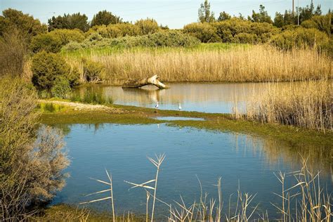 Greenfields Wetlands City Of Salisbury