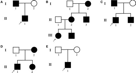 Ae Dsh Pedigrees Of The Five Families Black Circle Affected