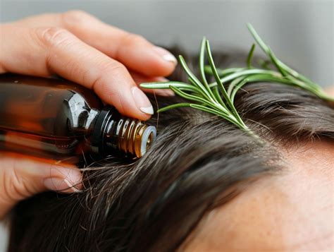 Does Rosemary Essential Oil Promote Hair Growth Oil Therapy Central