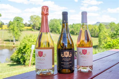 24 Of The Best Yadkin Valley Wineries To Sip And Savor Now