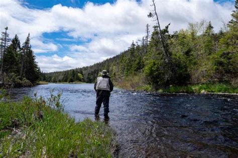 The 16 Best Trout Fishing Lakes In Minnesota