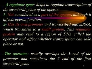 gene regulation .ppt