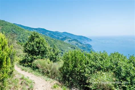 Il Sentiero Vernazza Due Santuari Monterosso Al Mare