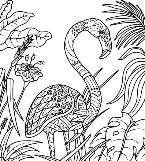 Coloriage Flamant Rose pour Adultes télécharger et imprimer gratuit