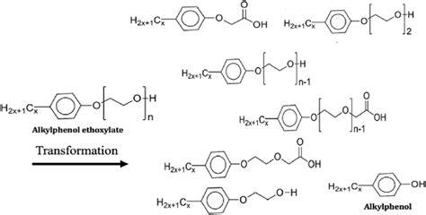 Structures of alkylphenol ethoxylate and its transformation products ...