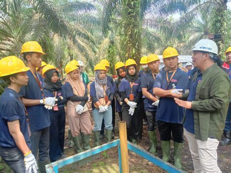 Bpdpks Ajak Peserta Lomba Riset Pahami Perkebunan Sawit Kantor Berita