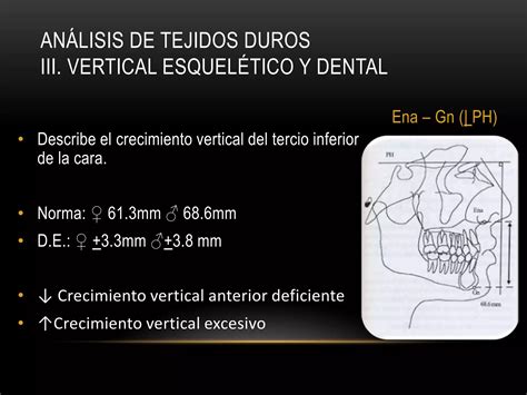 An Lisis Cefalom Trico De Legan Y Burston Ppt Descarga Gratuita