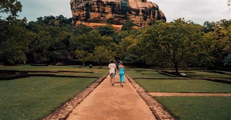 From Kandy Sigiriya And Dambulla Day Trip SuiteTrails