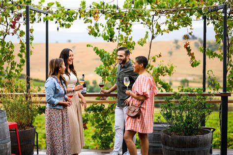 yarra valley wine tasting tours local  tours experience guided