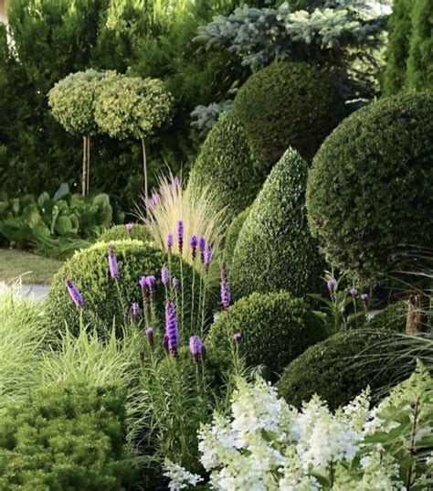 The Garden Is Full Of Different Types Of Plants And Shrubs Including