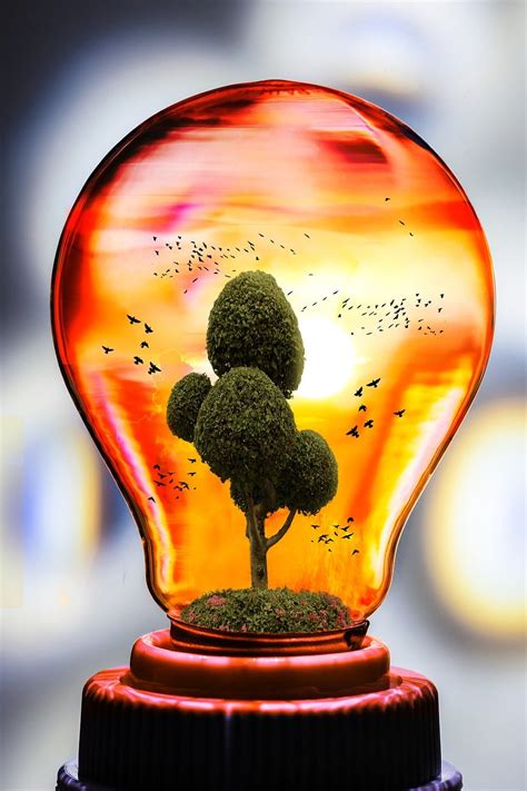 Download Eco, Nature, Bulb. Royalty-Free Stock Illustration Image - Pixabay