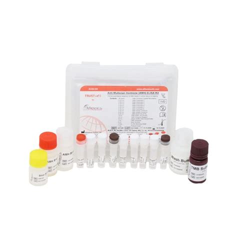 AMH ELISA KIT Anti Mullerian Hormone Amh Elisa Kit