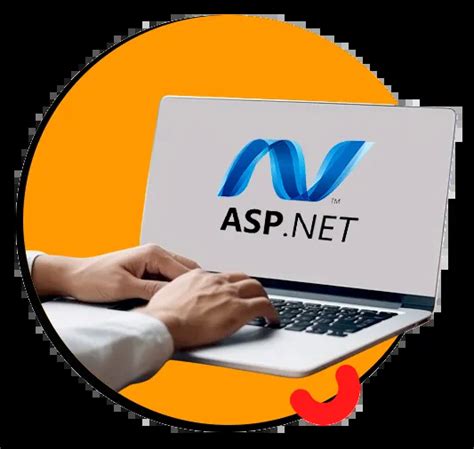 Top Class Hire Professional ASP NET Developers In USA Binate Digital