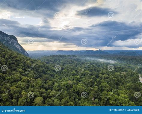 Exotic Rainforest Landscape From Gunung Mulu National Park Borneo