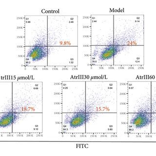 Effects Of Atl Iii On Tm Induced Apoptosis In H C Cells A Flow