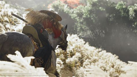 Galeria screenów z gry Ghost of Tsushima PS4 GRYOnline pl