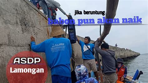 Mancing Di Asdp Lamongan Terbaru Youtube