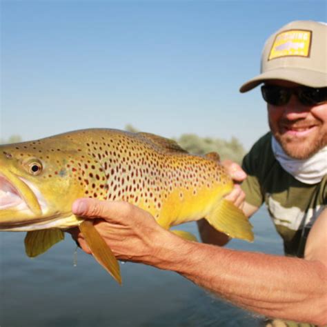 Saratoga Wyoming Fly Fishing Guides | Saratoga Wyoming Fishing