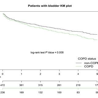 Kaplan Meier Km Survival Curves Of Propensity Score Matched Patients