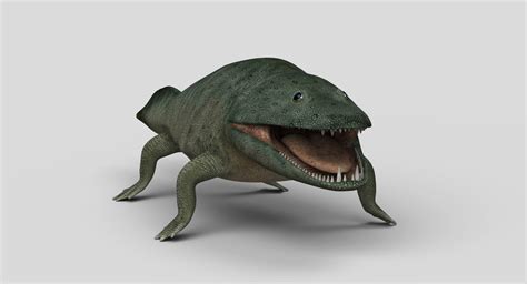 Mastodonsaurus 3d Model Turbosquid 1358723