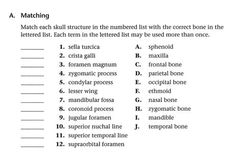 Solved Match Each Skull Structure In The Numbered List