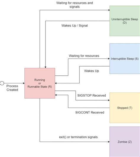 Process States In Linux With Diagram Six State Process Model