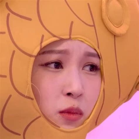 Twice Pics On Twitter Rt Twicefolders Missing Fish Head Mina