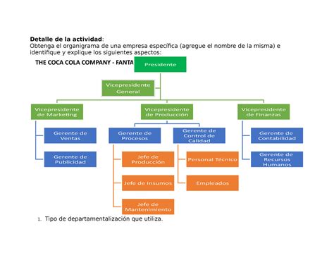 Estructura Organizacional Coca Cola Company Detalle De La Actividad