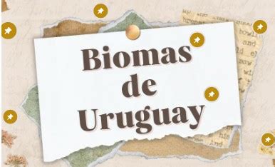 Biomas De Uruguay