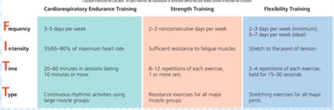 Lecture Nutrition And Physical Activity Flashcards Quizlet