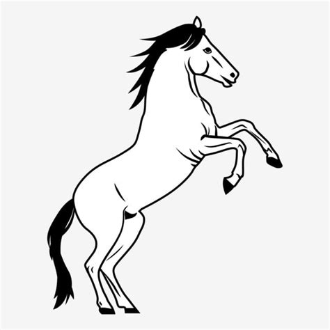 Amazing PNG Transparent, Amazing Horse In Black, Horse Clipart, Horse, Silhouette PNG Image For ...