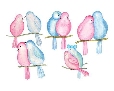 Watercolor Valentine Couple Bird Clipart Valentine Cute Love Bird