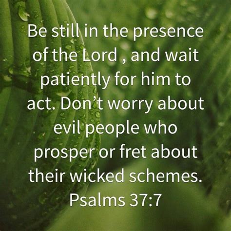 Psalms 37 7 Dont Worry About Evil People And Their Schemes Trust In