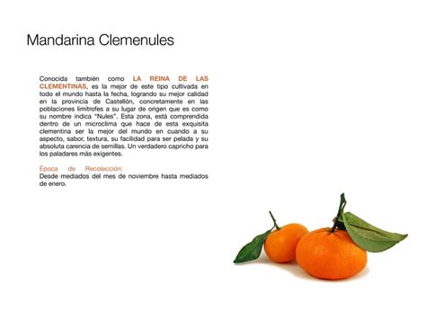 Naranjas Marisa Clemenules Navel Navelina Navelate Ppt