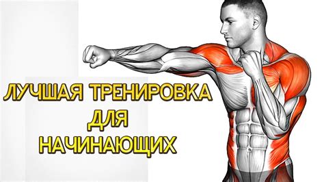 Простые и эффективные упражнения для начинающих с использованием ...