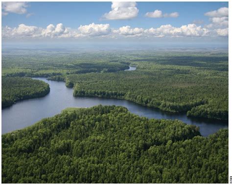 Alberta Just Created The Worlds Largest Area Of Protected Boreal