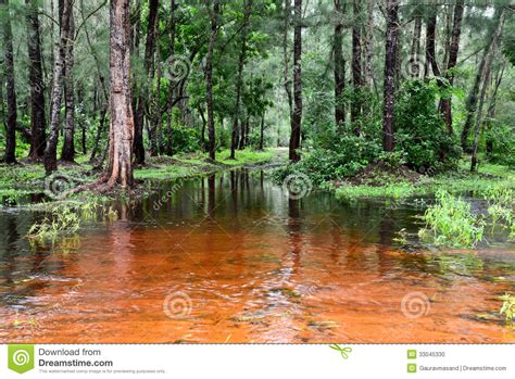 Landscape In Orissa Stock Photo Image Of Orissa Outdoor 33045330