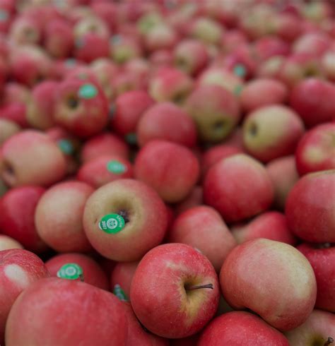Elberta Farms Country Market Elbertafarmscountrymarket • Instagram