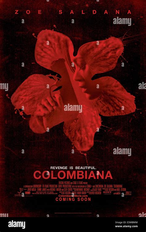 COLOMBIANA, Zoe Saldana on US poster art, 2011, ©Sony Pictures/courtesy ...